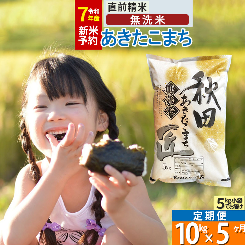 【ふるさと納税】【無洗米】※R７新米予約※《定期便5ヶ月》秋田県産 あきたこまち 10kg (5kg×2袋) ×5回 令和7年産 周期調整OK 隔月配送OK お米 新米