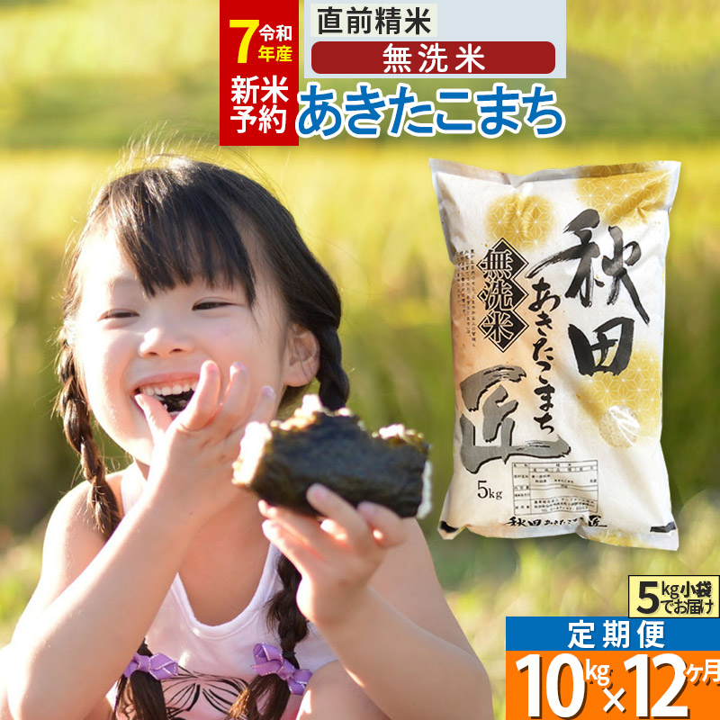 【ふるさと納税】【無洗米】※R７新米予約※《定期便12ヶ月》秋田県産 あきたこまち 10kg (5kg×2袋) ×12回 令和7年産 周期調整OK 隔月配送OK お米 新米