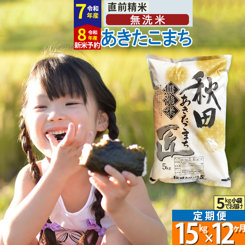 【ふるさと納税】【無洗米】※R7／R8新米予約※《定期便12ヶ月》秋田県産 あきたこまち 15kg (5kg×3袋) ×12回 令和7年産 令和8年産 お米 匠