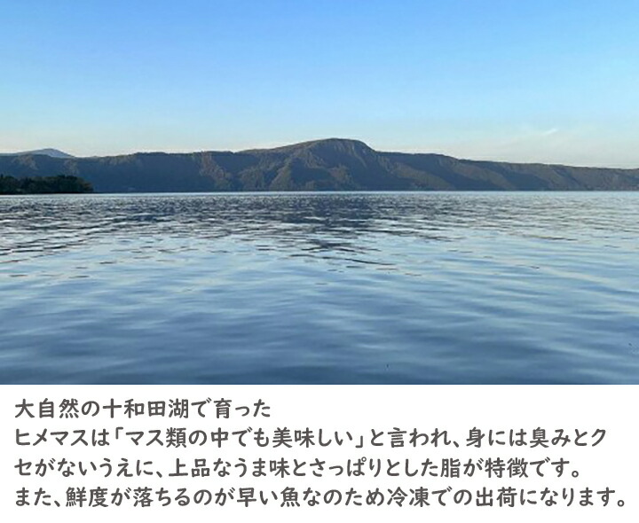 最大75 オフ 十和田湖ひめます 約1 3kg 23cm前後 10 13尾程度 Fucoa Cl