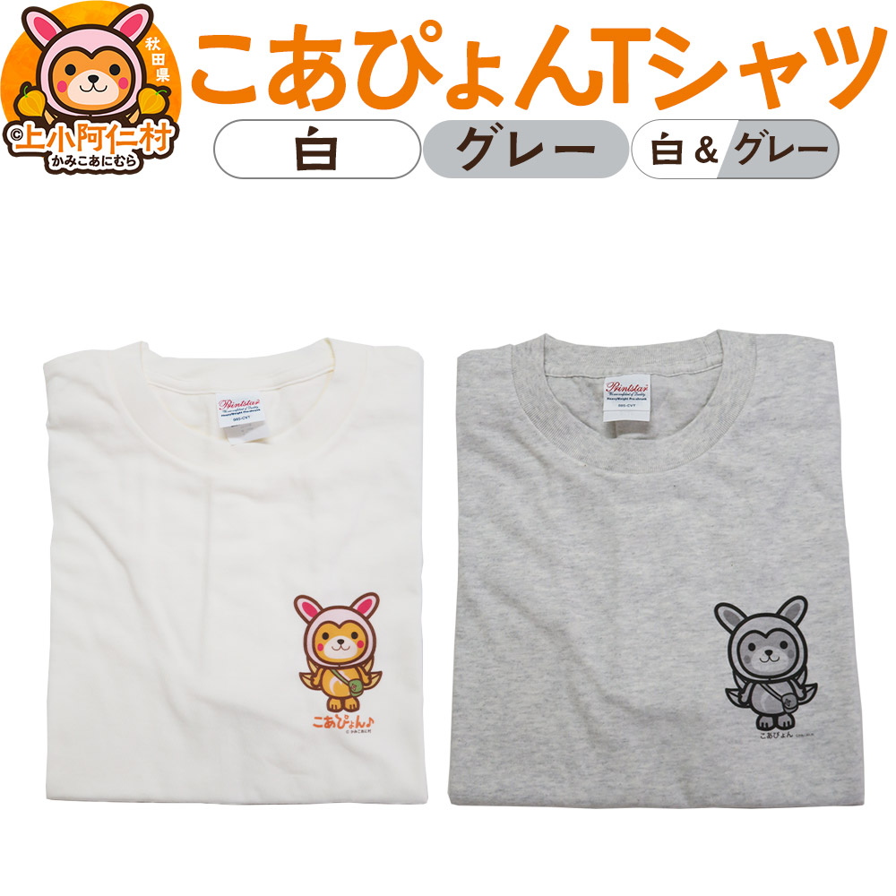 上小阿仁村について