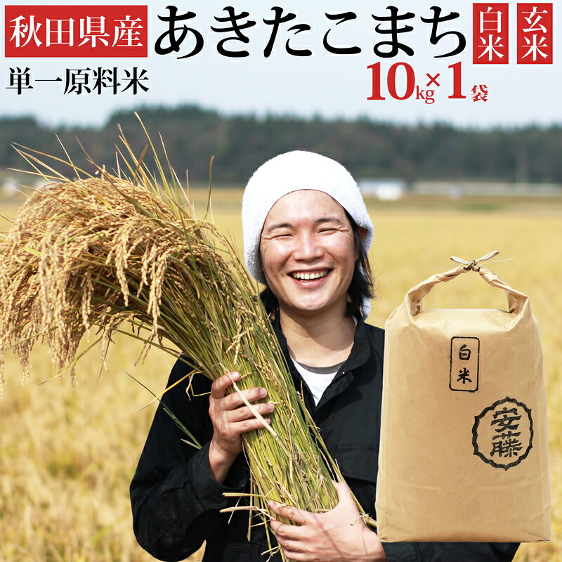 【ふるさと納税】《令和7年産》秋田県産 あきたこまち 10kg(10kg×1袋) 【白米／玄米 選べる】令和7年産