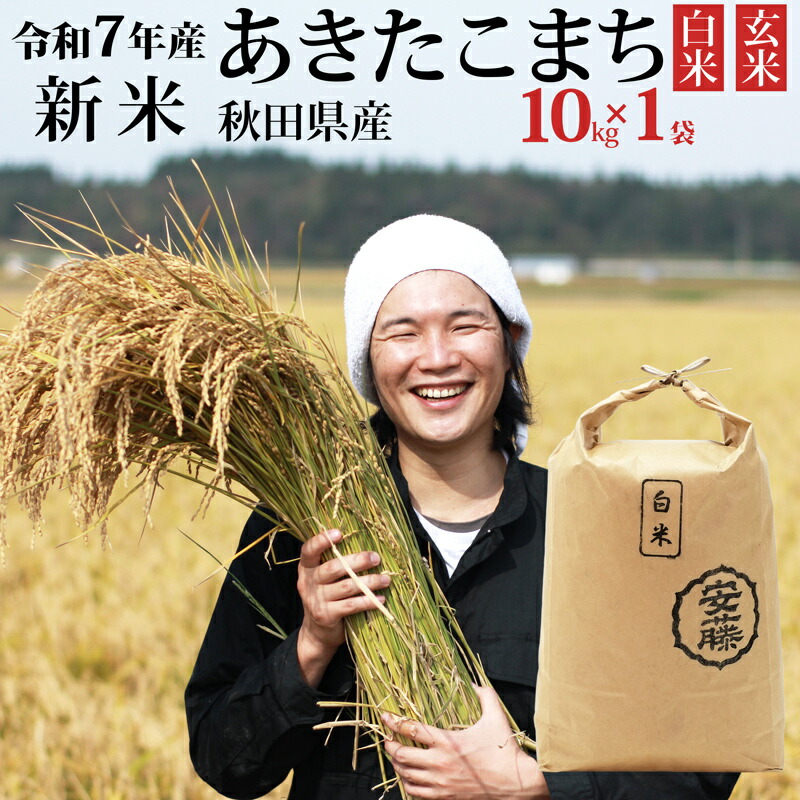 古米　10kg　令和4年秋収穫　あきたこまち　精米済み seimai10kg.jpg?fitin=272:272