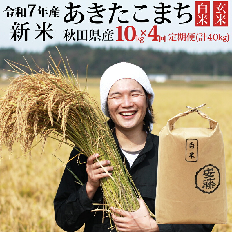 新米✨令和3年8月収穫✨高知県産25kg✨ 令和7年産 高知県産 コシヒカリ 玄米25㎏(袋込み)：高知県産のお