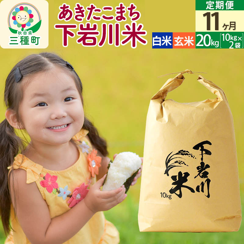 【ふるさと納税】【R8年新米予約】 《11ヶ月定期便》【白米／玄米】あきたこまち 20kg (10kg×2袋) 秋田県三種町産 令和8年産 下岩川米