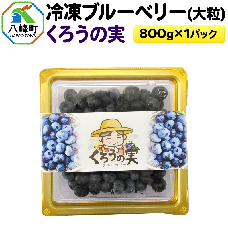【ふるさと納税】冷凍ブルーベリー(大粒)「くろうの実」 800g×1パック