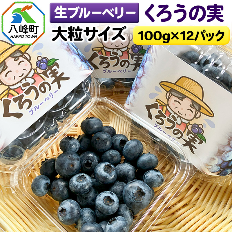 【ふるさと納税】【2025年収穫先行受付】生ブルーベリー(大粒)「くろうの実」 100g×12パック