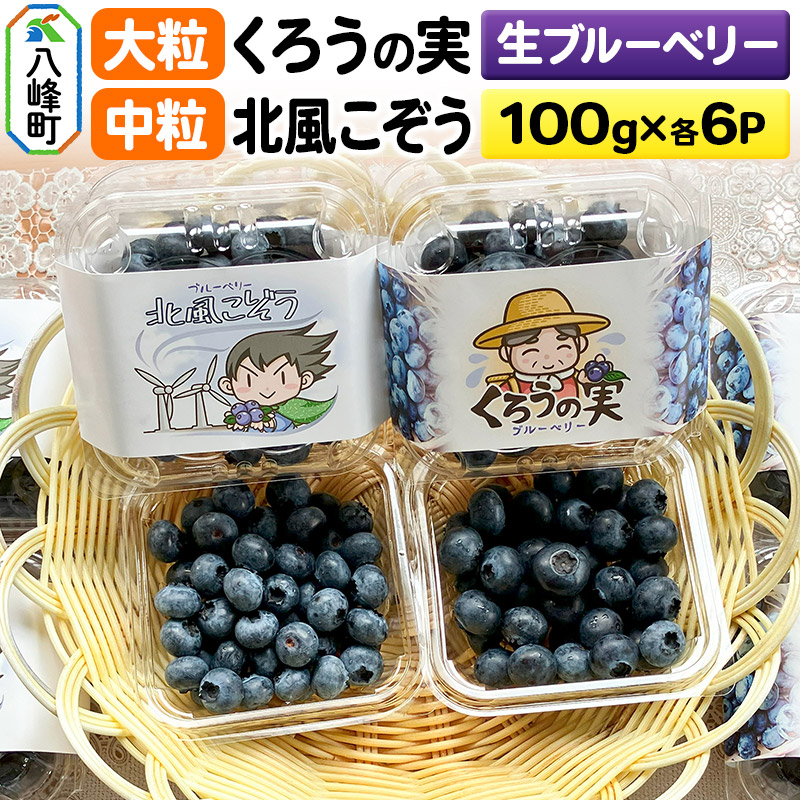 【ふるさと納税】【2025年収穫先行受付】生ブルーベリー(大粒)「くろうの実」＆(中粒)「北風こぞう」セット 各100g×6パック 計12パック
