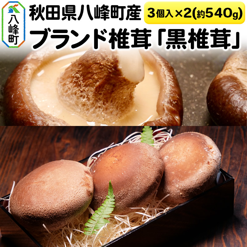 【ふるさと納税】秋田県八峰町産 ブランド椎茸「黒椎茸」3個入×2パック（約540g）