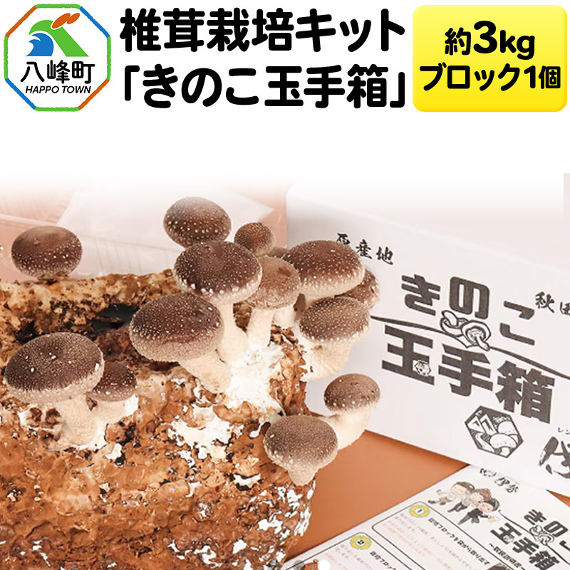 【きりたんぽ特集】秋田の好いたらしいきりたんぽ！本格鍋書き割りをご引き合わせる！