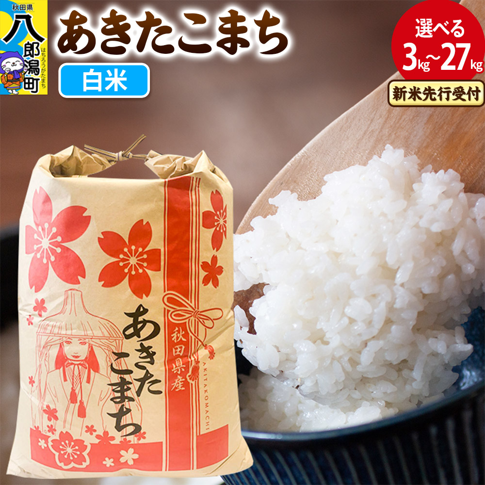 ハワイアンコード10セット