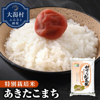 【ふるさと納税】【玄米】大潟村産あきたこまち特別栽培米11kg 【令和7年産】【配送不可地域:離島・沖縄県】【1419739】|秋田県大潟村