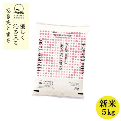 【ふるさと納税】秋田県産 予約受付開始!あきたこまち【令和7年産】白米5kg(5kg&times;1)《10月中旬より発送》_ 米 お米 精米 美味しい 人気 おすすめ 送料無料 秋田県 【1637009】｜秋田県大潟村