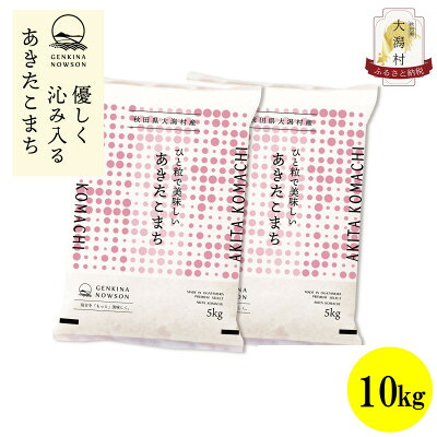 【ふるさと納税】【毎月定期便】秋田県産あきたこまち白米10kg(5kg×2)全3回【配送不可地域:離島・沖縄県】【4072863】|秋田県大潟村