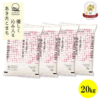 【ふるさと納税】【毎月定期便】秋田県産あきたこまち白米20kg(5kg×4)全3回【配送不可地域:離島・沖縄県】【4072867】|秋田県大潟村