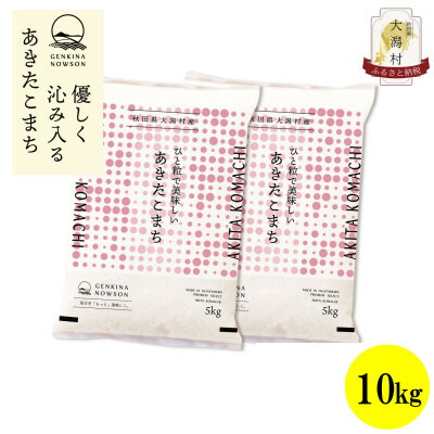【ふるさと納税】【毎月定期便】秋田県産あきたこまち無洗米10kg(5kg&times;2)全3回【配送不可地域：離島・沖縄県】【4072881】｜秋田県大潟村
