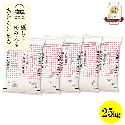 【ふるさと納税】【毎月定期便】秋田県産あきたこまち白米25kg(5kg×5)全12回【配送不可地域：離島・沖縄県】【4072895】