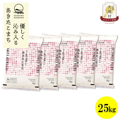 【ふるさと納税】【毎月定期便】秋田県産あきたこまち無洗米25kg(5kg×5)全12回【配送不可地域：離島・沖縄県】【4072901】