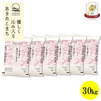 【ふるさと納税】【毎月定期便】秋田県産あきたこまち白米30kg(5kg×6)全6回【配送不可地域：離島・沖縄県】【4072909】