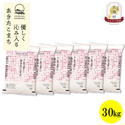 【ふるさと納税】【毎月定期便】秋田県産あきたこまち無洗米30kg(5kg×6)全6回【配送不可地域:離島・沖縄県】【4073094】