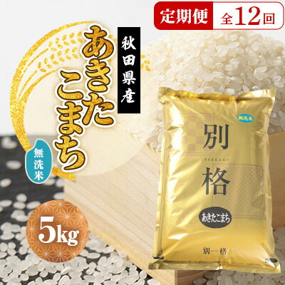 【ふるさと納税】【毎月定期便】あきたこまち 無洗米 5kg全12回【配送不可地域:離島・沖縄県】【4080822】|秋田県大潟村