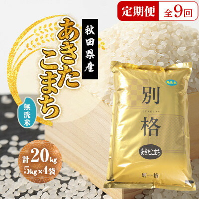 【ふるさと納税】【毎月定期便】あきたこまち 無洗米 20kg(5kg×4袋)全9回【配送不可地域：離島・沖縄県】【4080831】