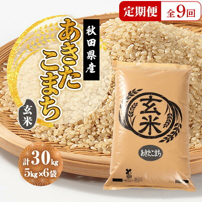 【ふるさと納税】【毎月定期便】あきたこまち 玄米 30kg(5kg&times;6袋)全9回【配送不可地域：離島・沖縄県】【4080853】｜秋田県大潟村