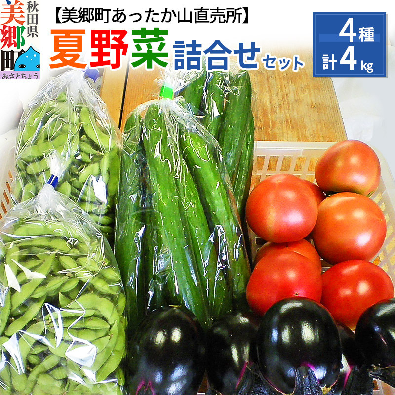 新潟産 朝採り 夏野菜セット80サイズ MouJs0CbPX - godawaripowerispat.com