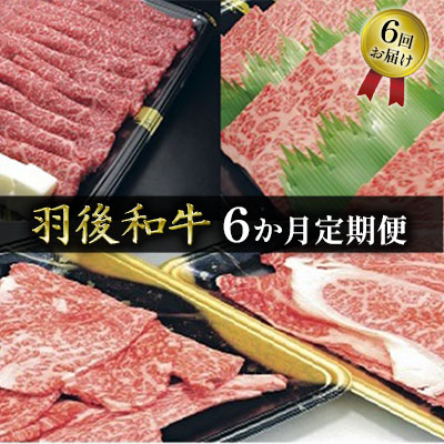 【ふるさと納税】部位・量おまかせ！羽後和牛定期便（6ヶ月） 牛肉 お肉