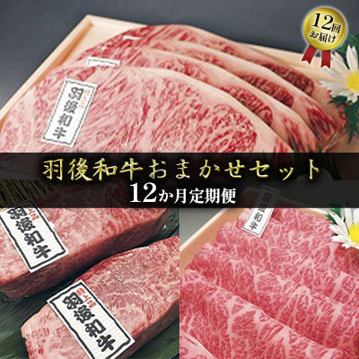 【ふるさと納税】希少部位も有り 部位・量おまかせ！羽後和牛定期便（12ヶ月） 牛肉 お肉