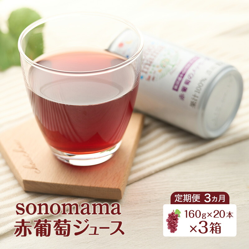 【ふるさと納税】《 定期便 3ヵ月 》 赤葡萄ジュース「sonomama」（160g&times;20本）&times;3箱 ぶどう ブドウ ジュース ぶどうジュース 飲料｜秋田県羽後町