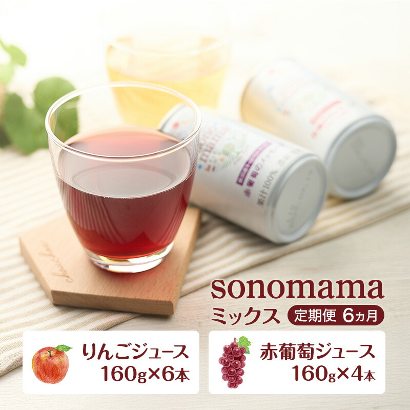 【ふるさと納税】《 定期便 6ヵ月 》ミックス「sonomama」(160g×10本）りんごジュース 赤ぶどうジュース ジュース 飲料