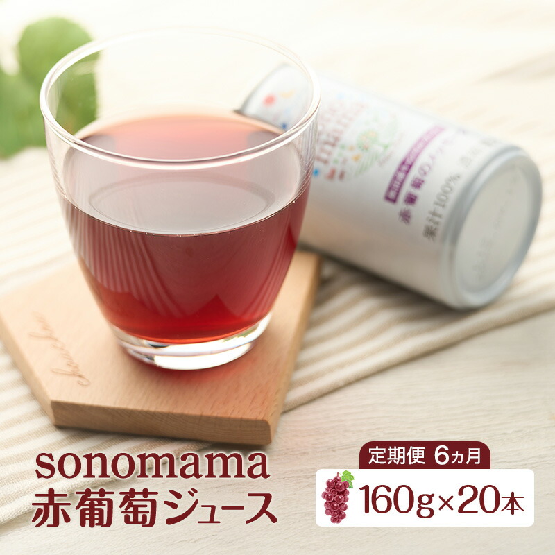 【ふるさと納税】《 定期便 6ヵ月 》赤葡萄ジュース「sonomama」（160g×20本）ぶどう ブドウ ジュース ぶどうジュース 飲料