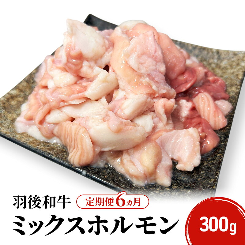 【ふるさと納税】《 定期便 6ヵ月 》 秋田県 羽後町産 羽後和牛 ミックスホルモン 300g 【 焼肉 ホルモン BBQ バーベキュー キャンプ 】｜秋田県羽後町 38,350円