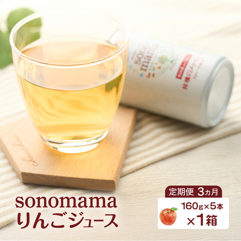 【ふるさと納税】《 定期便 3ヵ月 》 りんごジュース「sonomama」（160g×5本）×1箱 りんご リンゴ ジュース リンゴジュース 飲料