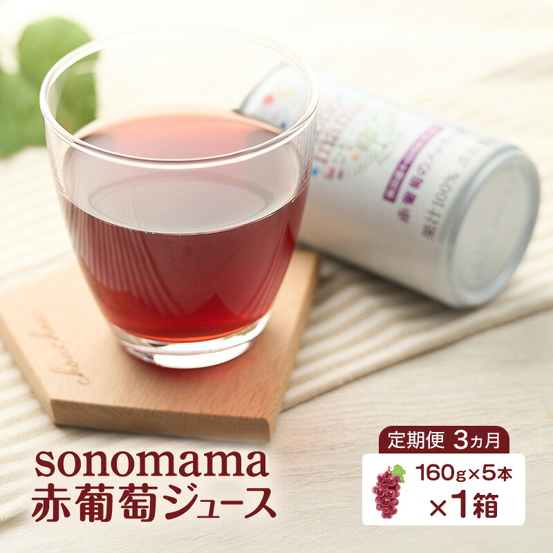 【ふるさと納税】《 定期便 3ヵ月 》 赤葡萄ジュース「sonomama」(160g×5本)×1箱 ぶどう ブドウ ジュース ぶどうジュース 飲料|秋田県羽後町
