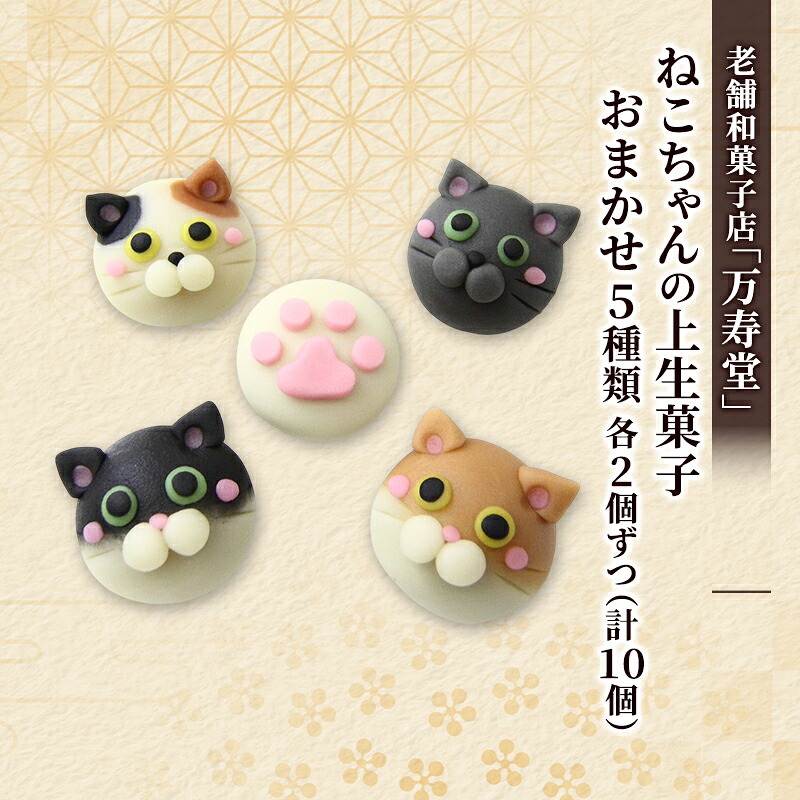 【ふるさと納税】創業明治44年［菓子司 万寿堂］ねこちゃんの上生菓子 おまかせ5種類 各2個ずつ（計10個）秋田 羽後 西馬音内 【菓子 和菓子 生菓子 上生菓子 スイーツ かわいい 高級 老舗 お取り寄せ ギフト】