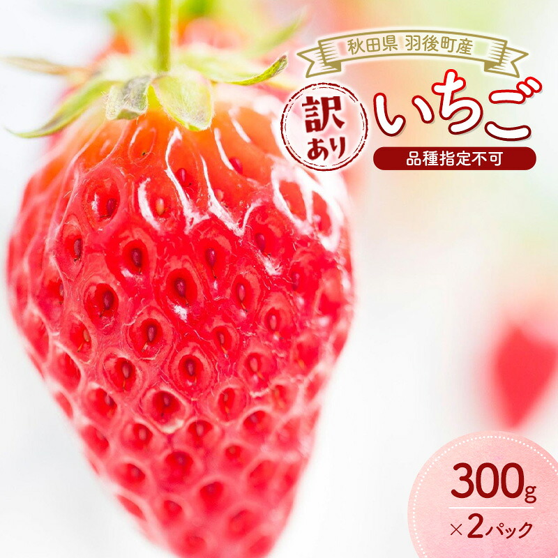 【ふるさと納税】秋田県 羽後町産 訳あり いちご 600g（300g×2）品種指定不可【 いちご 苺 イチゴ フルーツ 果物 紅ほっぺ 章姫 かおり野 よつぼし 】　お届け：2026年1月下旬～6月上旬