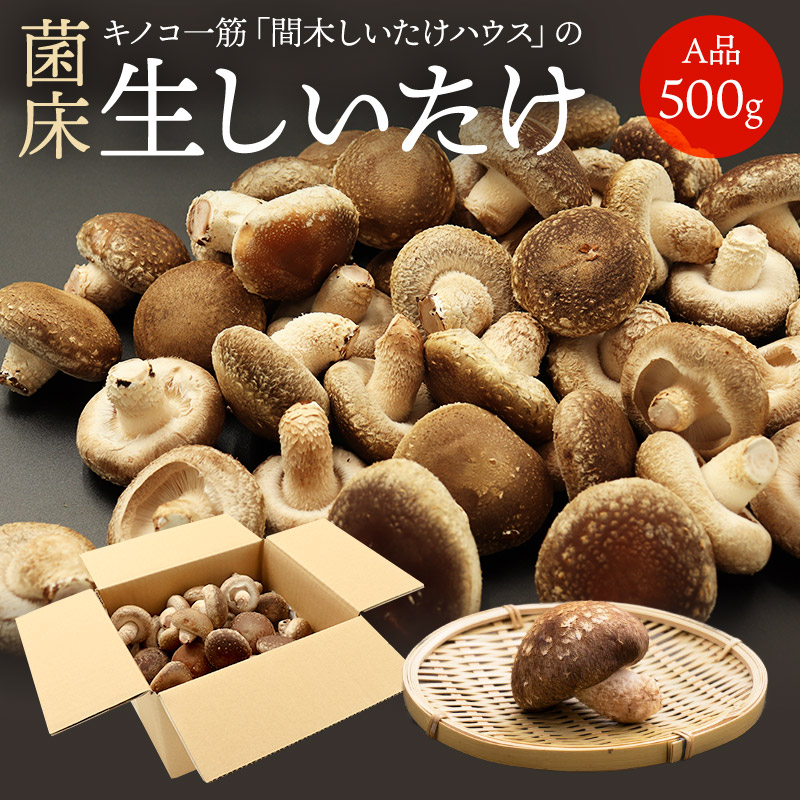 菌床生しいたけ A品 500g 椎茸 高い品質