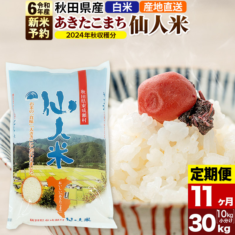 名作 あきたこまち 秋田県産 仙人米 白米 30kg 10kg×3袋 令和4年産