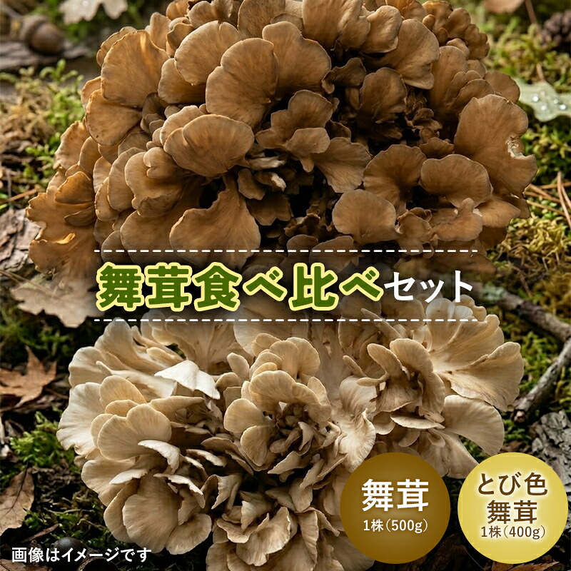 【ふるさと納税】舞茸食べ比べセット F2Y-2374｜山形県