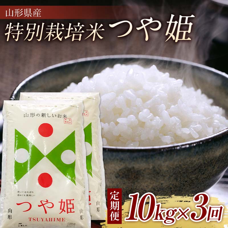 【ふるさと納税】 山形県産 特別栽培米 つや姫10kg (5kg×2) 全3回 F2Y-3918|山形県