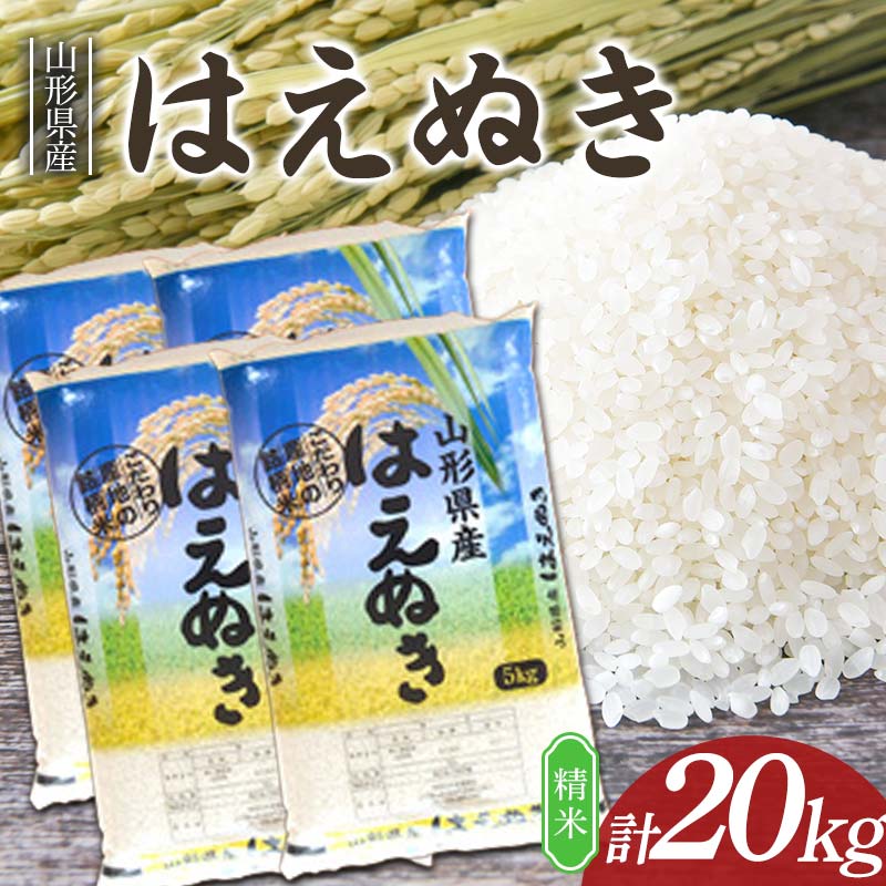 【ふるさと納税】 はえぬき 20kg (5kg&times;4袋) 山形県産 精米 【令和7年産】 F2Y-4605｜山形県