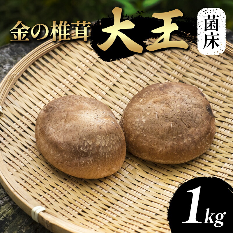 【ふるさと納税】 金の椎茸【菌床】「大王」1kg F2Y-4657|山形県