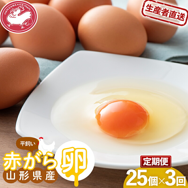 【ふるさと納税】【半澤鶏卵】《定期便》 山形県産 赤がら卵25個（破損補償5個含む）&times;3回 国産鶏種もみじ F2Y-5487｜山形県