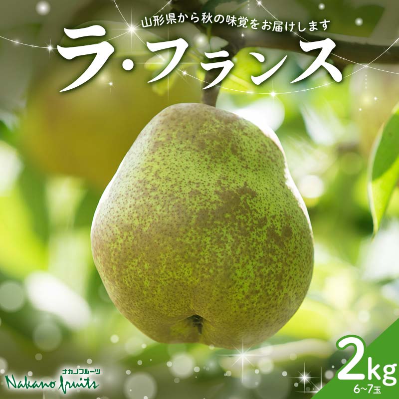 【ふるさと納税】【仲野観光果樹園】≪2025年先行予約≫贈答用 山形県産 西洋梨 ラ・フランス 2kg (6～7玉) 秀品 2025年11月上旬から順次発送 F2Y-6110