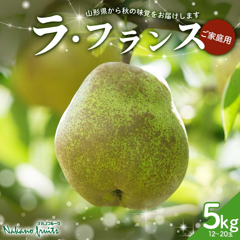 【ふるさと納税】【仲野観光果樹園】≪2025年先行予約≫ご家庭用 山形県産 西洋梨 ラ・フランス 5kg (12～20玉) 2025年11月上旬から順次発送 F2Y-6112