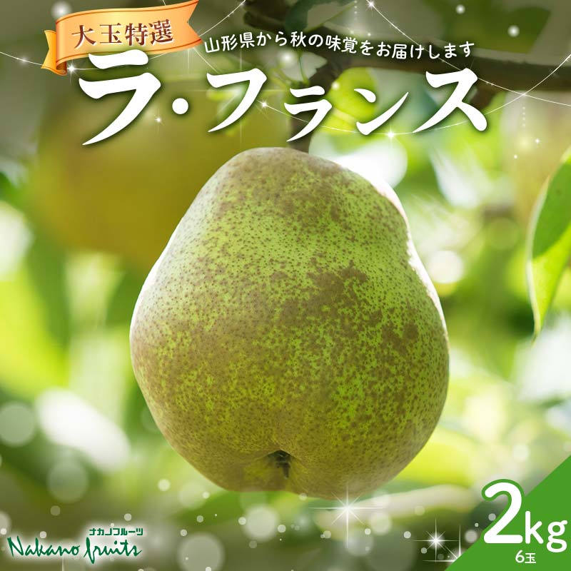 【ふるさと納税】【仲野観光果樹園】≪2025年先行予約≫贈答用 山形県産 西洋梨 大玉ラ・フランス 2kg (6玉) 特選（秀品） 2025年11月上旬から順次発送 F2Y-6113