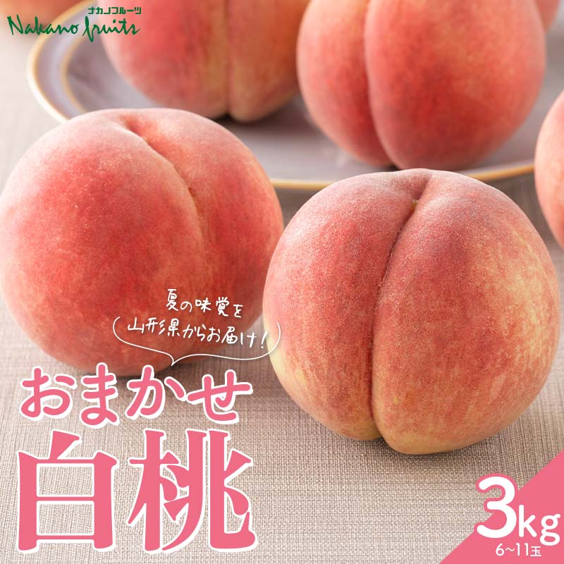 【ふるさと納税】≪2026年先行予約≫【仲野観光果樹園】贈答用 山形県産 おまかせ 白桃 3kg(6~11玉) 秀品 2026年8月上旬から順次発送 F2Y-6114|山形県