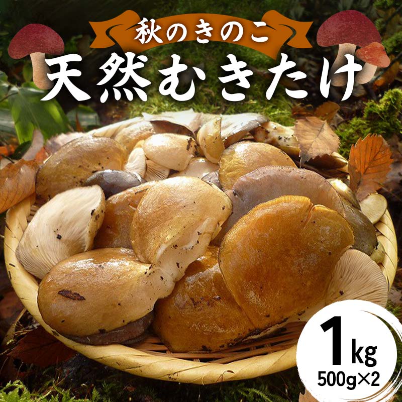 【ふるさと納税】 ＜2026年10月中旬より発送＞秋のきのこ 天然むきたけ 1kg（500g×2袋） F2Y-6171 8,140円